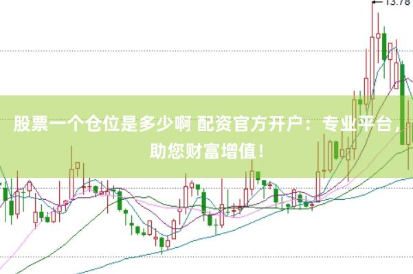股票一个仓位是多少啊 配资官方开户：专业平台，助您财富增值！