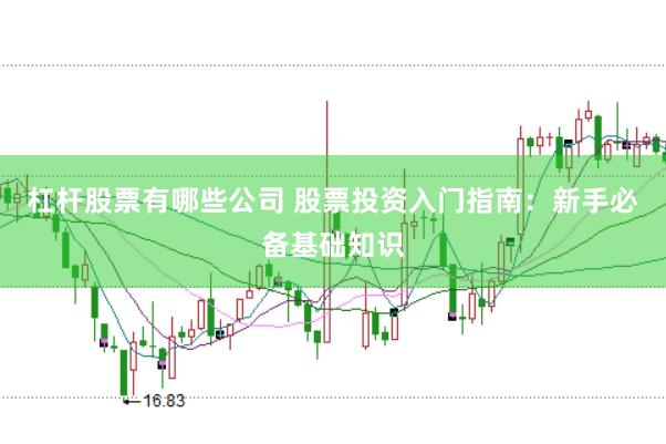 杠杆股票有哪些公司 股票投资入门指南：新手必备基础知识