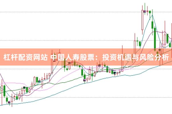 杠杆配资网站 中国人寿股票：投资机遇与风险分析