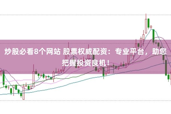 炒股必看8个网站 股票权威配资：专业平台，助您把握投资良机！