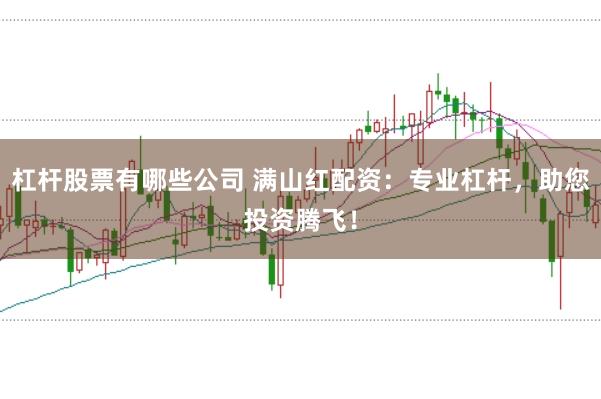 杠杆股票有哪些公司 满山红配资：专业杠杆，助您投资腾飞！