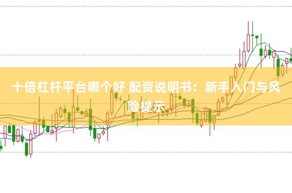 十倍杠杆平台哪个好 配资说明书：新手入门与风险提示