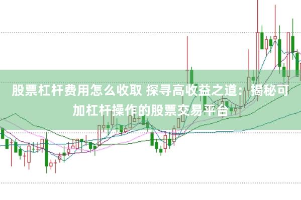 股票杠杆费用怎么收取 探寻高收益之道：揭秘可加杠杆操作的股票交易平台