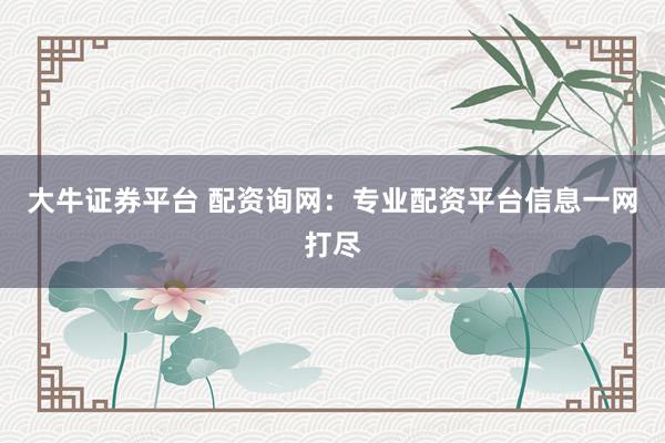 大牛证券平台 配资询网：专业配资平台信息一网打尽