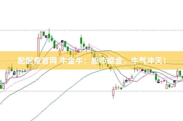 配配查官网 牛金牛:股市掘金,牛气冲天!