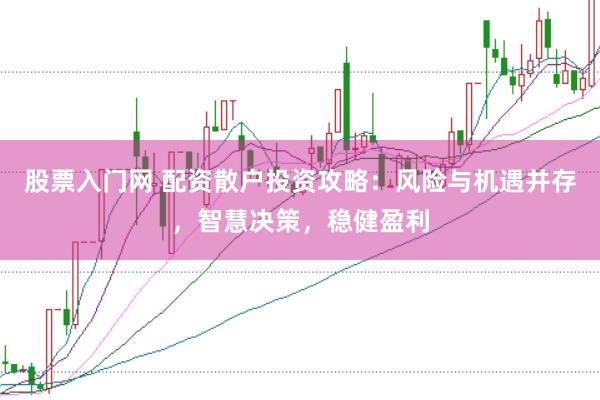 股票入门网 配资散户投资攻略：风险与机遇并存，智慧决策，稳健盈利