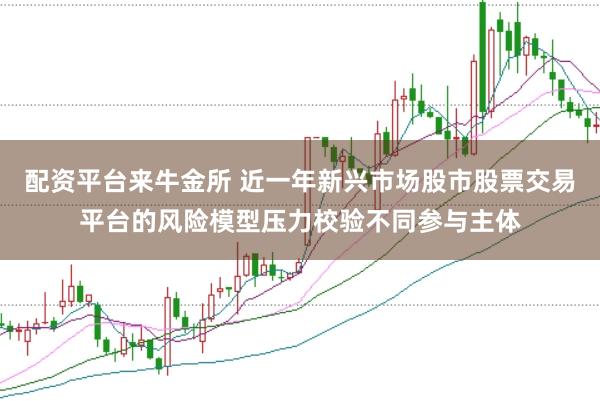 配资平台来牛金所 近一年新兴市场股市股票交易平台的风险模型压力校验不同参与主体