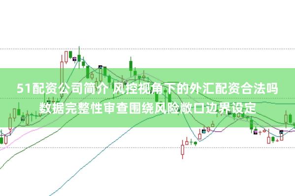 51配资公司简介 风控视角下的外汇配资合法吗数据完整性审查围绕风险敞口边界设定