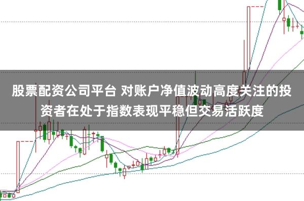 股票配资公司平台 对账户净值波动高度关注的投资者在处于指数表现平稳但交易活跃度