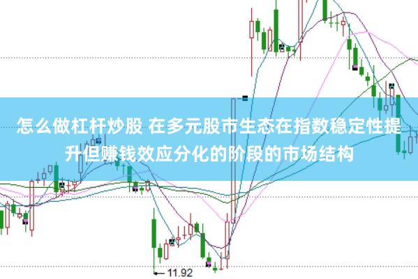 怎么做杠杆炒股 在多元股市生态在指数稳定性提升但赚钱效应分化的阶段的市场结构