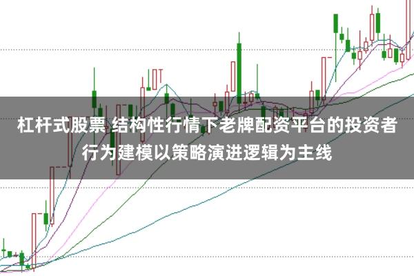 杠杆式股票 结构性行情下老牌配资平台的投资者行为建模以策略演进逻辑为主线