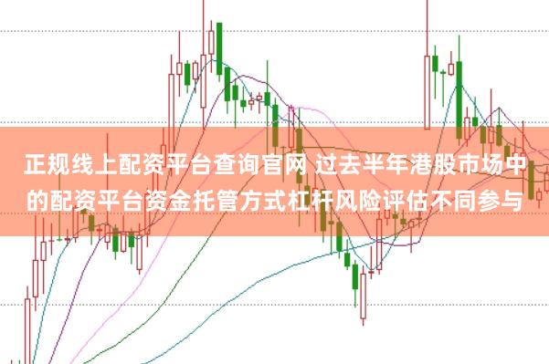 正规线上配资平台查询官网 过去半年港股市场中的配资平台资金托管方式杠杆风险评估不同参与