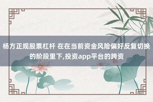杨方正规股票杠杆 在在当前资金风险偏好反复切换的阶段里下，投资app平台的跨资