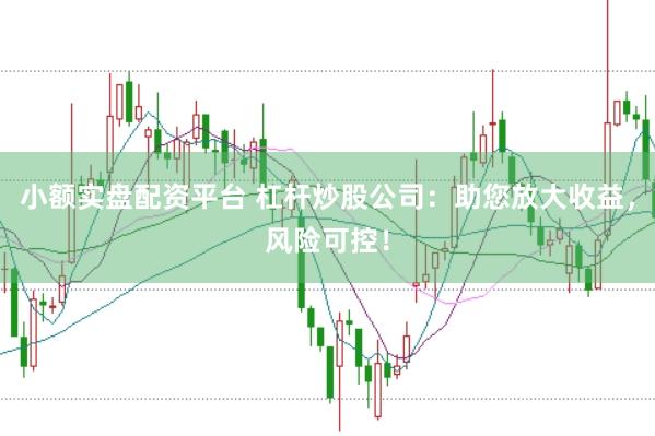 小额实盘配资平台 杠杆炒股公司：助您放大收益，风险可控！
