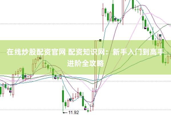 在线炒股配资官网 配资知识网:新手入门到高手进阶全攻略