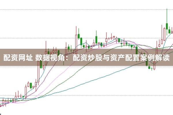 配资网址 数据视角：配资炒股与资产配置案例解读