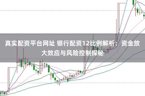 真实配资平台网址 银行配资12比例解析：资金放大效应与风险控制探秘