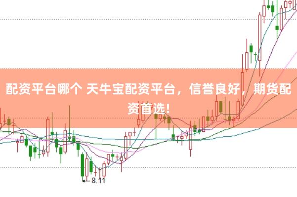 配资平台哪个 天牛宝配资平台，信誉良好，期货配资首选!