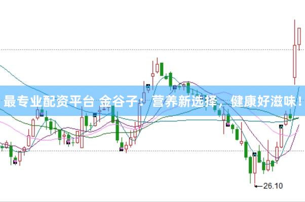 最专业配资平台 金谷子:营养新选择,健康好滋味!
