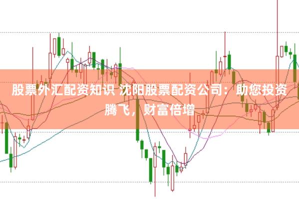 股票外汇配资知识 沈阳股票配资公司：助您投资腾飞，财富倍增