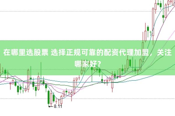 在哪里选股票 选择正规可靠的配资代理加盟，关注哪家好？