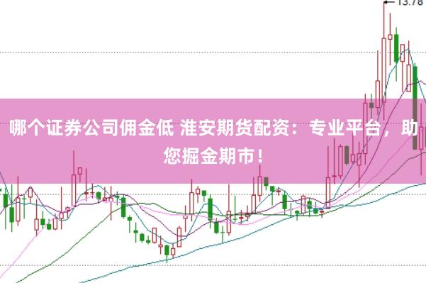 哪个证券公司佣金低 淮安期货配资：专业平台，助您掘金期市！